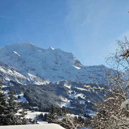 Im Gruebi-3 By Interhome Apartment Wengen