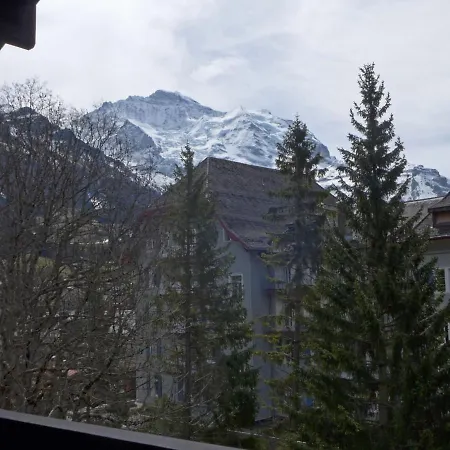 Im Gruebi Apt-5 By Interhome * Wengen