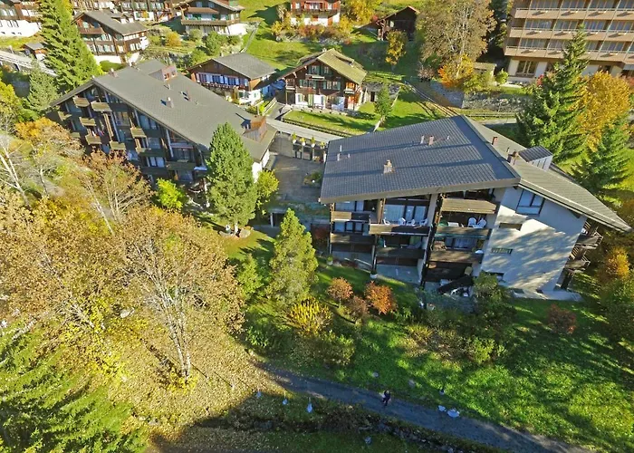 Im Gruebi Apt-5 By Interhome Wengen