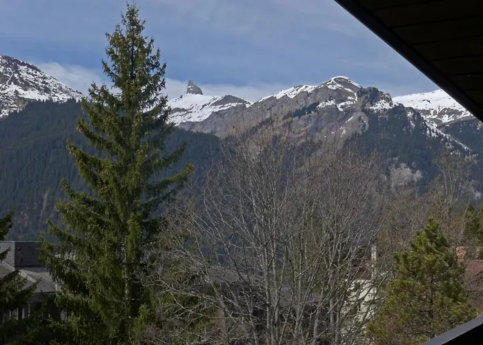 Im Gruebi Apt-5 By Interhome Apartment