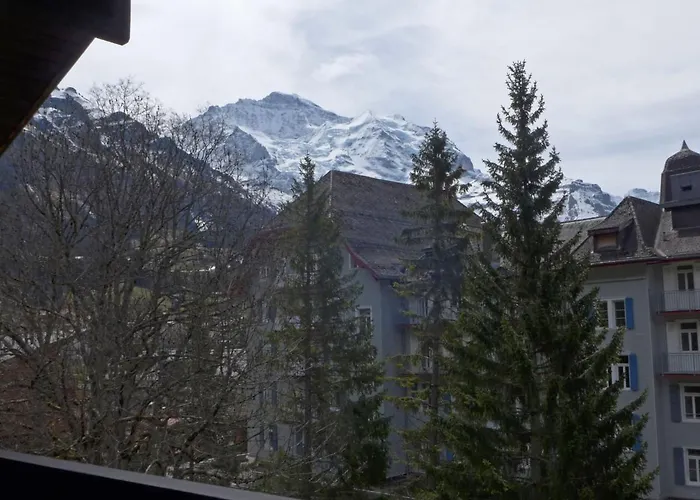 Im Gruebi Apt-5 By Interhome * Wengen