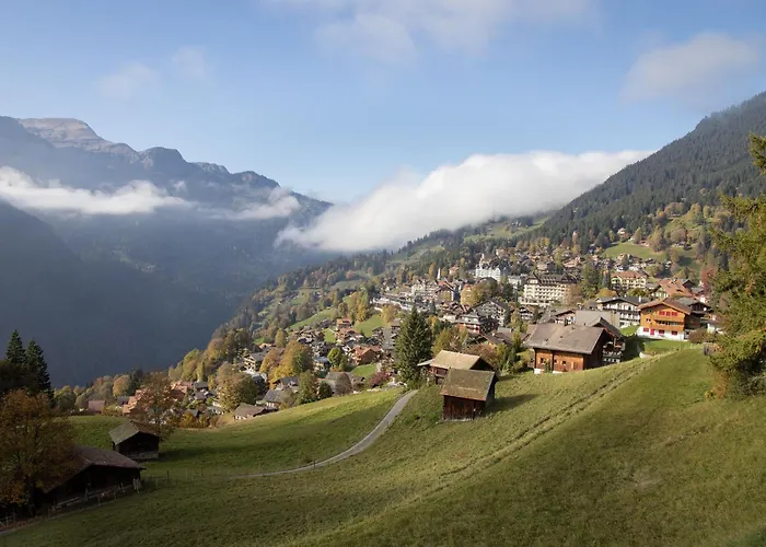 Appartamento Im Gruebi Apt-5 By Interhome *